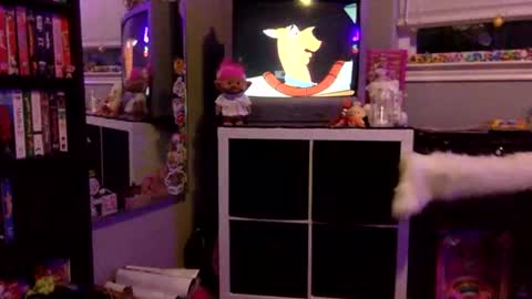 Snapshot of kittykatcoco chatting on 11/11/25, 04:23 kittykatcoco online show from 11/11/25, 04:23