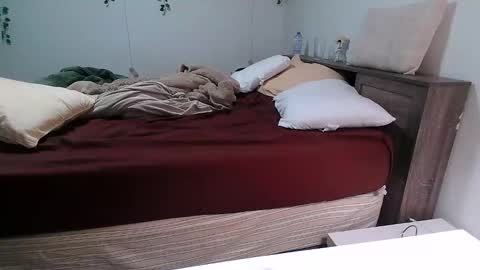 Snapshot of kittyymaze chatting on 12/18/25, 12:44 Kittyymaze online show from 12/18/25, 12:44