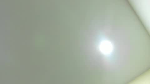 Kiwi online show from 02/06/26, 12:08