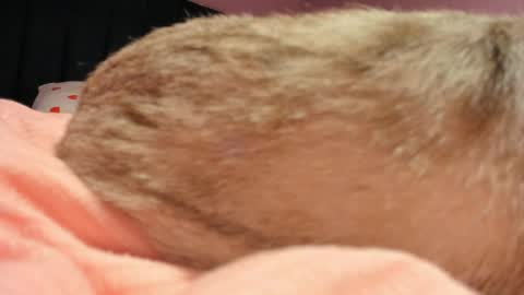 Snapshot of kiyoko_yun chatting on 04/19/26, 06:10 Yuna online show from 04/19/26, 06:10