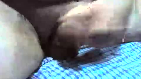 klok8230 online show from 12/16/25, 02:38