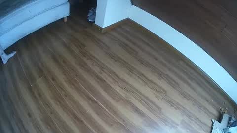 Klowrash online show from 01/30/25, 05:28