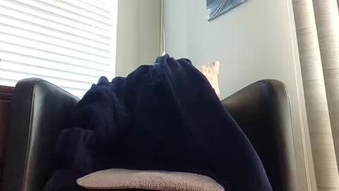 Snapshot of knightrider4324 chatting on 12/21/24, 07:06 knightrider4324 online show from 12/21/24, 07:06