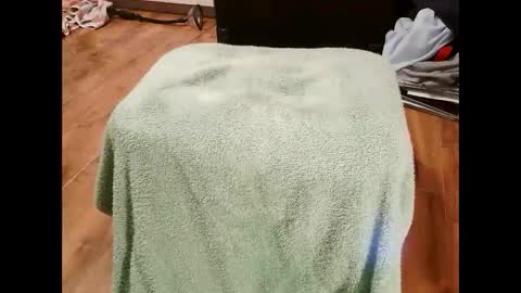 Snapshot of kotek400 chatting on 01/30/25, 08:10 kotek400 online show from 01/30/25, 08:10