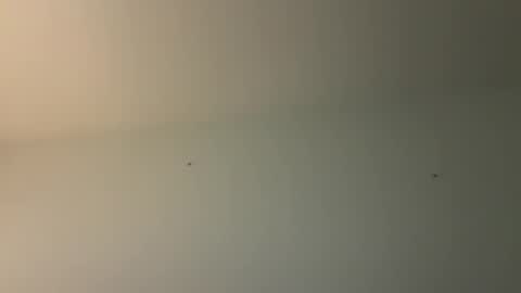 Snapshot of kovapoika chatting on 10/23/25, 10:58 kovapoika online show from 10/23/25, 10:58