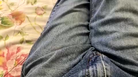 kpcloud255498 online show from 02/13/25, 02:12