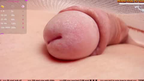 Snapshot of kpetra chatting on 03/10/25, 06:56 Petra online show from 03/10/25, 06:56