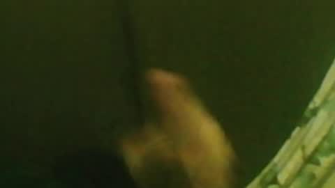 kren565656 online show from 12/29/24, 01:34