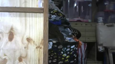 krishasweet online show from 12/11/24, 03:58