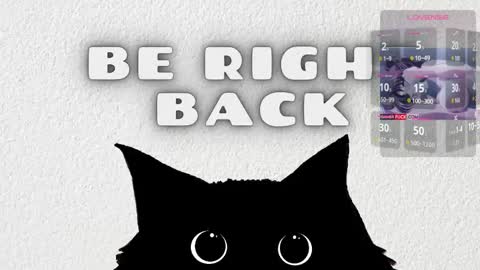   online show from 02/25/26, 03:38