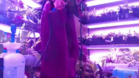 Snapshot of krookedorchid chatting on 10/30/25, 10:06 krookedorchid online show from 10/30/25, 10:06