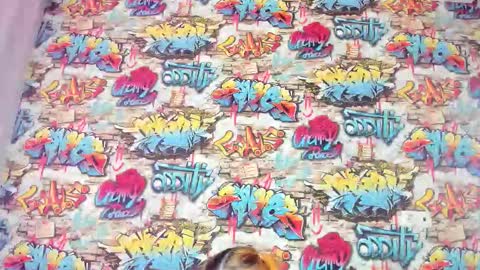 Snapshot of krysadapp chatting on 11/27/25, 12:56 Krys online show from 11/27/25, 12:56