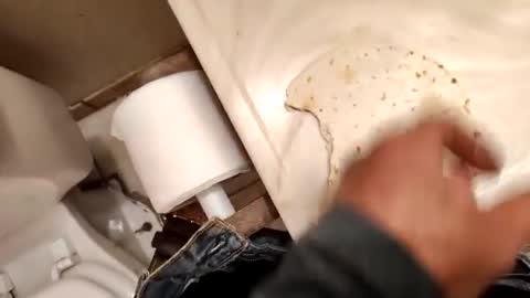 kumnnkevsuks4 online show from 01/16/25, 08:14