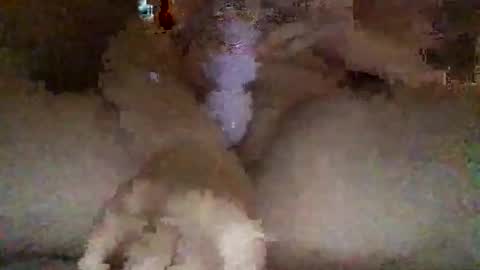 Snapshot of kylie69sm chatting on 02/27/26, 03:06 kylie online show from 02/27/26, 03:06