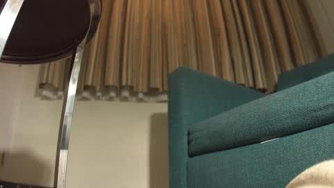 Snapshot of lacub chatting on 02/19/25, 07:17 lacub online show from 02/19/25, 07:17