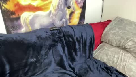 Lacy8Vankort online show from 02/08/25, 08:53