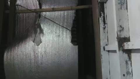 Snapshot of lady_love063 chatting on 01/16/25, 10:12 lady_love063 online show from 01/16/25, 10:12