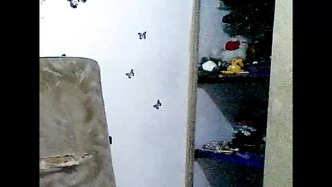 Snapshot of ladydeathz chatting on 12/15/24, 04:37 ladydeathz online show from 12/15/24, 04:37