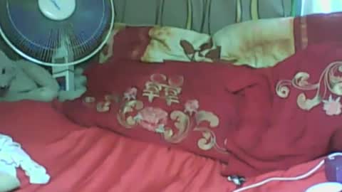 LadyXSnakes online show from 01/21/25, 08:19