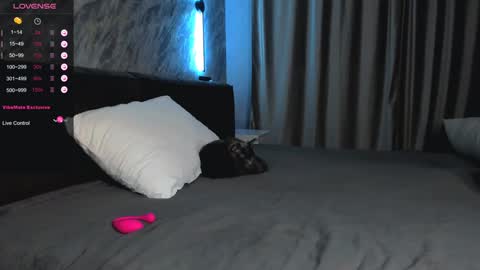 Bella online show from 01/28/25, 01:49