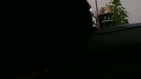 Rick online show from 12/02/24, 06:41