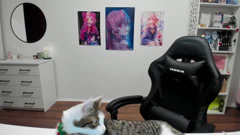 Kira online show from 12/17/24, 06:31