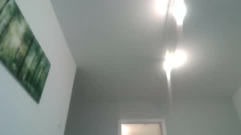 Snapshot of lambiants chatting on 11/05/25, 06:13 lambiants online show from 11/05/25, 06:13