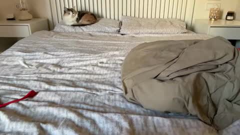 Snapshot of lana_inked chatting on 02/05/25, 02:16 Lana online show from 02/05/25, 02:16