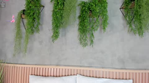 lana_lann online show from 01/27/25, 11:43