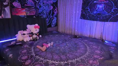 L A N A  online show from 02/14/25, 08:42