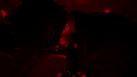 Snapshot of latex__buddy chatting on 03/03/26, 10:43 latex__buddy online show from 03/03/26, 10:43