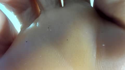 Snapshot of latin__curly chatting on 11/07/25, 12:54 Afrodita online show from 11/07/25, 12:54