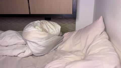 Hi -  online show from 12/27/24, 05:52