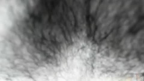 Zeus online show from 02/03/26, 08:08