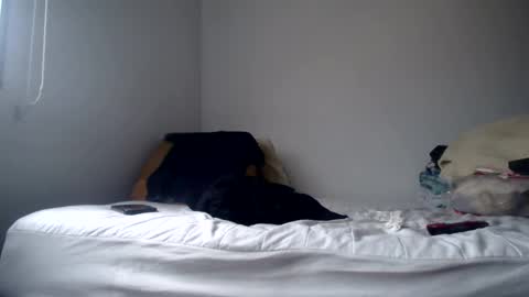 DEXTER online show from 02/24/25, 08:58