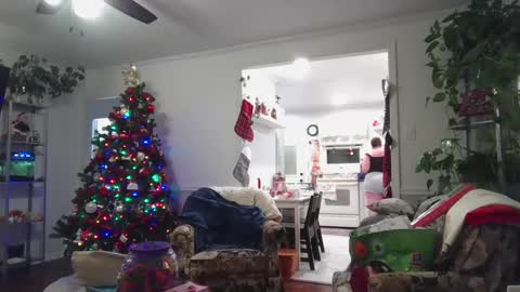 LauLauMa online show from 12/23/24, 04:33