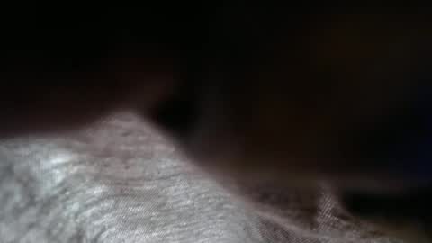 launeeee1 online show from 02/03/26, 02:55