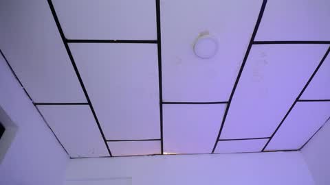 LAURA online show from 12/02/24, 01:46