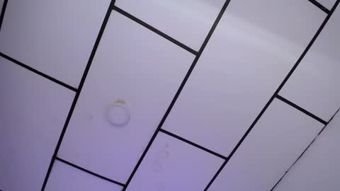 LAURA online show from 01/18/25, 05:37