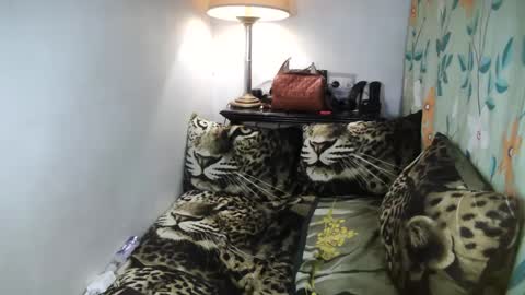 Belle online show from 02/08/25, 10:08