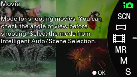 Snapshot of laureencadriel chatting on 09/24/25, 08:39 Monica online show from 09/24/25, 08:39