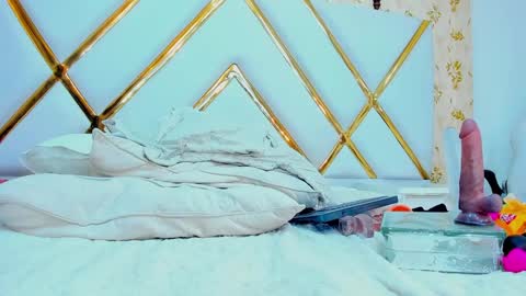 Snapshot of laurenhu chatting on 01/29/25, 12:13 Lauren Hu online show from 01/29/25, 12:13