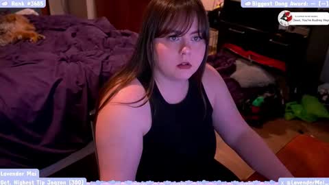 LavenderMei online show from 10/23/25, 08:51