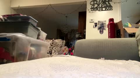 lawrencegreg106 online show from 09/25/25, 01:09