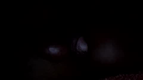 Snapshot of lawrencegreg106 chatting on 04/03/26, 08:56 lawrencegreg106 online show from 04/03/26, 08:56