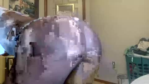 layla online show from 09/21/25, 06:48