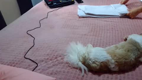 kelly online show from 02/01/25, 07:23