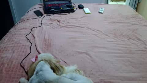 kelly online show from 02/04/25, 11:27