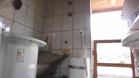 kelly online show from 02/12/25, 04:22