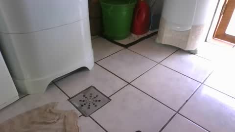 kelly online show from 03/07/25, 06:22